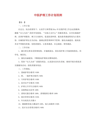 中医护理工作计划范例 