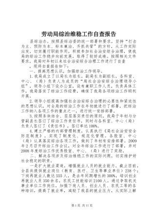 劳动局综治维稳工作自查报告