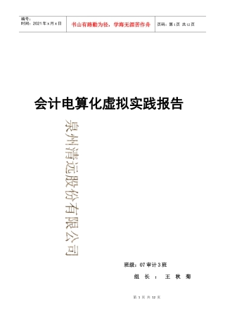 泉州某公司会计电算化虚拟实践报告