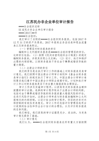 江苏民办非企业单位审计报告