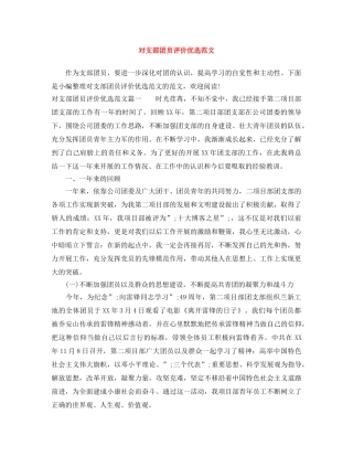 对支部团员评价优选范文 