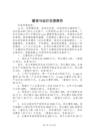 建设与运行自查报告