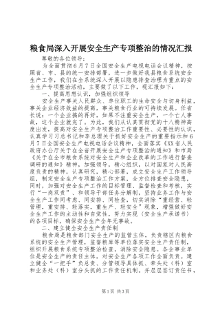 粮食局深入开展安全生产专项整治的情况汇报