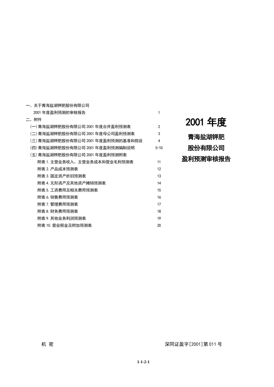 深圳同人会计师事务所盈利预测审核报告_第1页