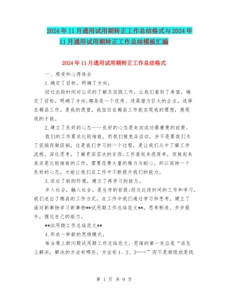 2024年11月通用试用期转正工作总结格式与2024年11月通用试用期转正工作总结模板汇编