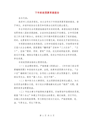 下年财政预算草案报告