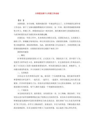 大学团支部个人年度工作总结 