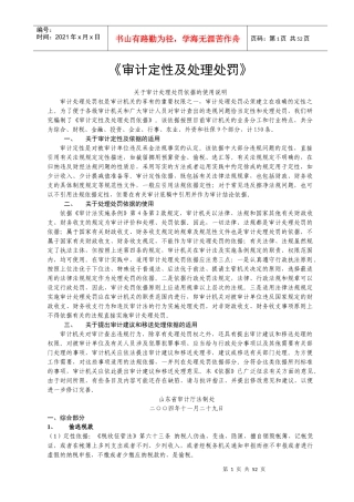 审计定性及处理处罚依据(doc 49)