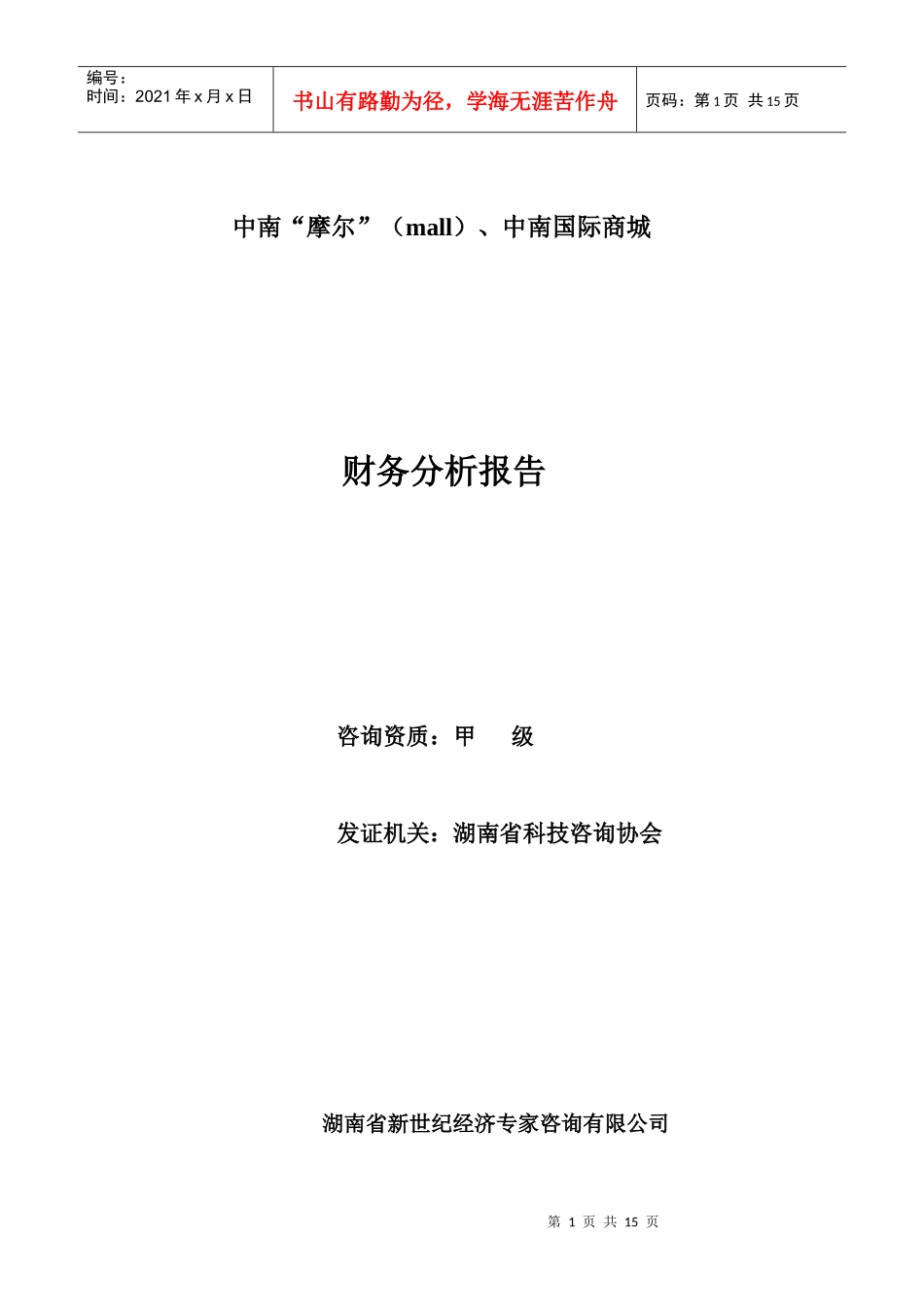 中南国际商城财务分析报告_第1页