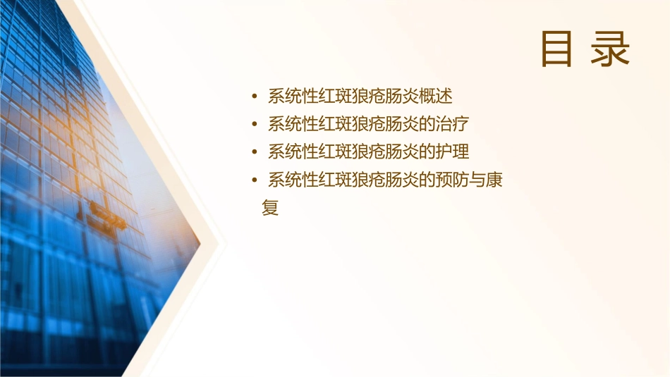 系统性红斑狼疮肠炎护理课件_第2页