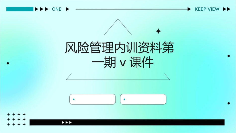风险管理内训资料第一期V课件_第1页