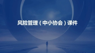 风险管理(中小协会)课件