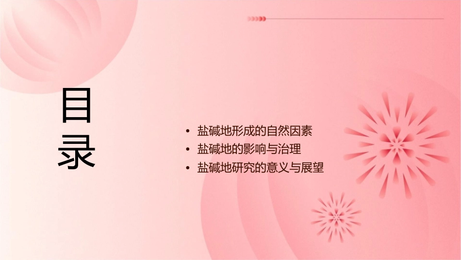 盐碱地的形成机理盐碱地形成的自然课件_第2页