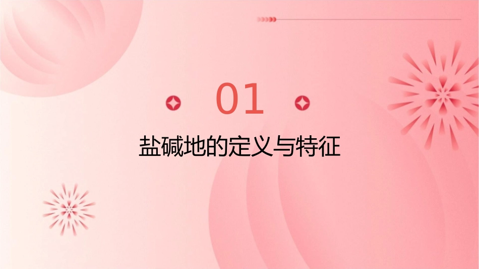 盐碱地的形成机理盐碱地形成的自然课件_第3页