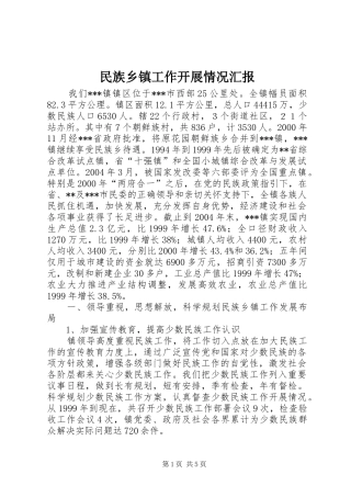 民族乡镇工作开展情况汇报