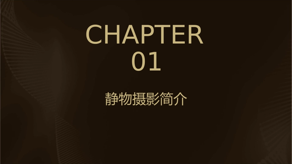 静物摄影的布光作品分析课件_第3页