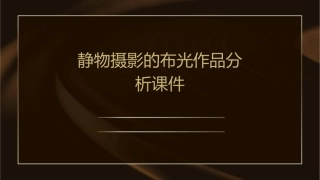 静物摄影的布光作品分析课件