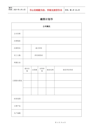 融资计划表格