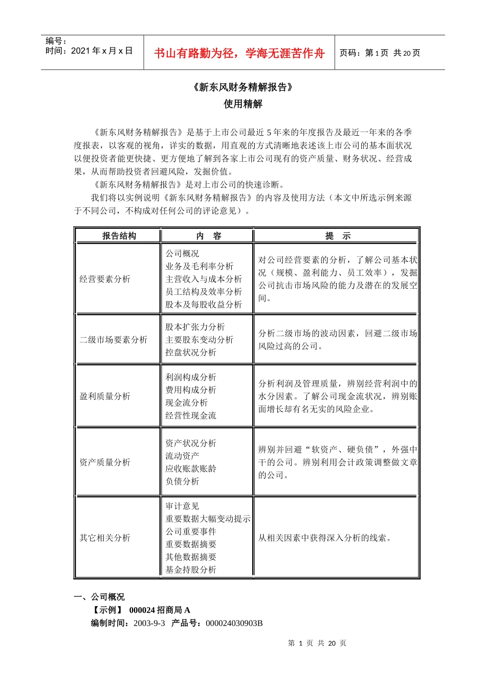 上市公司新东风财务精解报告_第1页