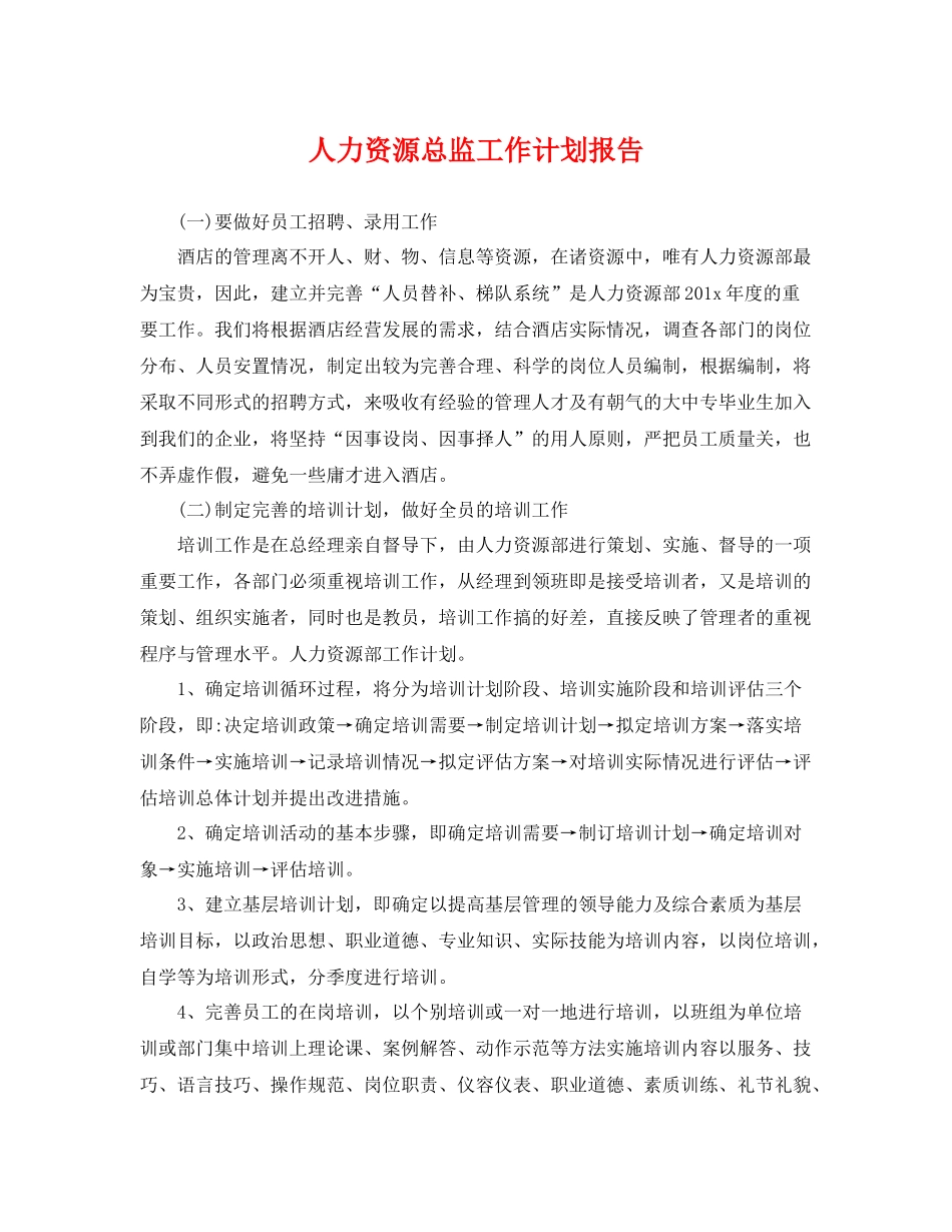 人力资源总监工作计划报告 _第1页