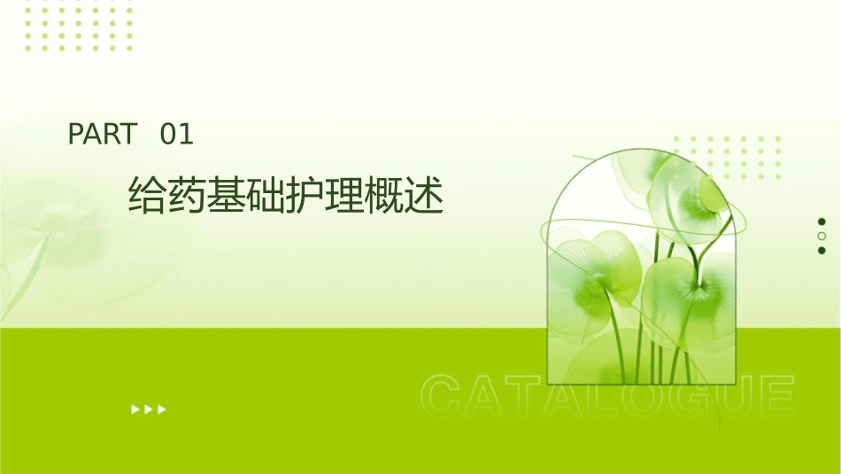 给药基础护理课件_第3页
