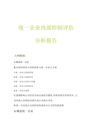 某公司企业内部控制评估分析报告