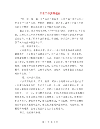 三农工作实践报告