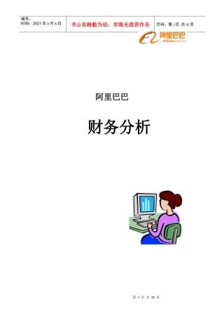 某某年某科技财务分析概况