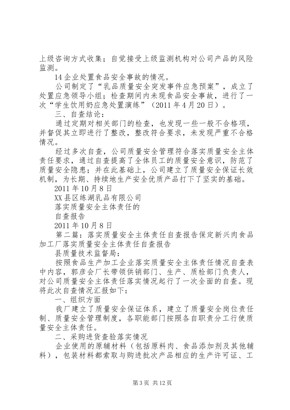 落实质量安全主体责任自查报告_第3页