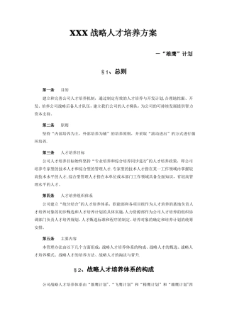 战略人才培养方案