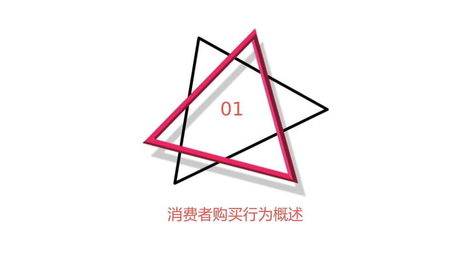 消费者购买行为心理分析课件_第3页