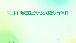 项目不确定性分析及风险分析课件