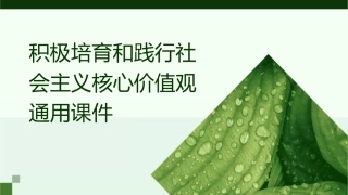 积极培育和践行社会主义核心价值观通用课件