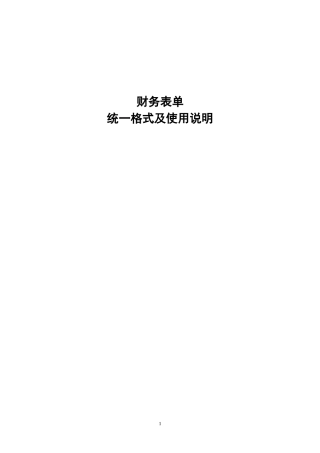 财务表单格式及其说明大全