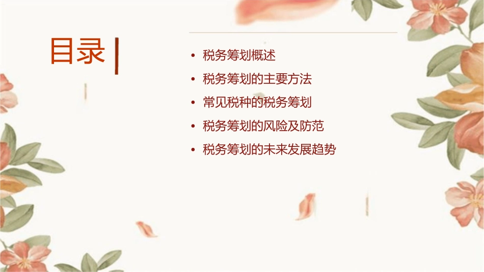 税务筹划讲义课件_第2页