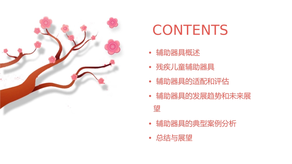 残疾儿童辅助器具课件_第2页