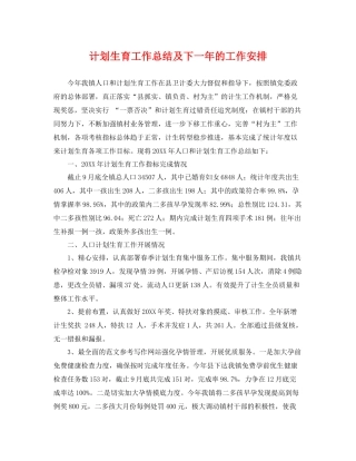 计划生育工作总结及下一年的工作安排 