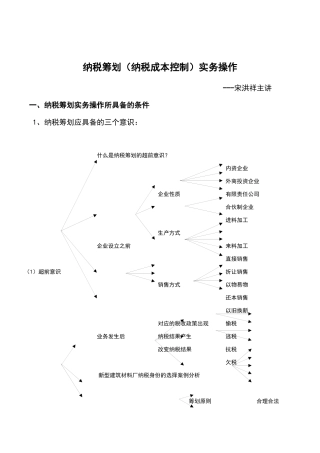纳税筹划实务操作(doc 28页)