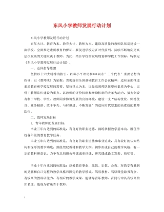 东风小学教师发展行动计划 