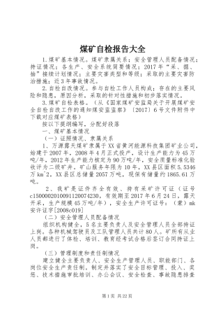 煤矿自检报告大全