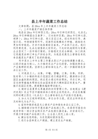 县上半年蔬菜工作总结