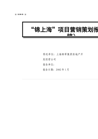 XX项目营销策划报告