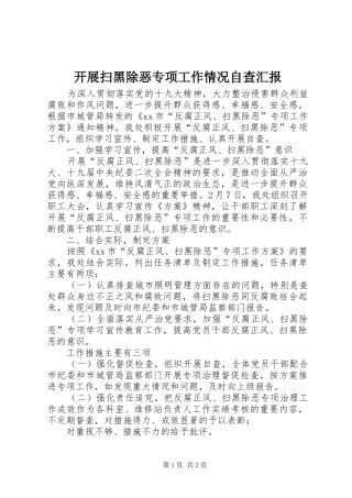 开展扫黑除恶专项工作情况自查汇报