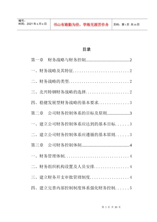 某公司财务战略控制体系说明书