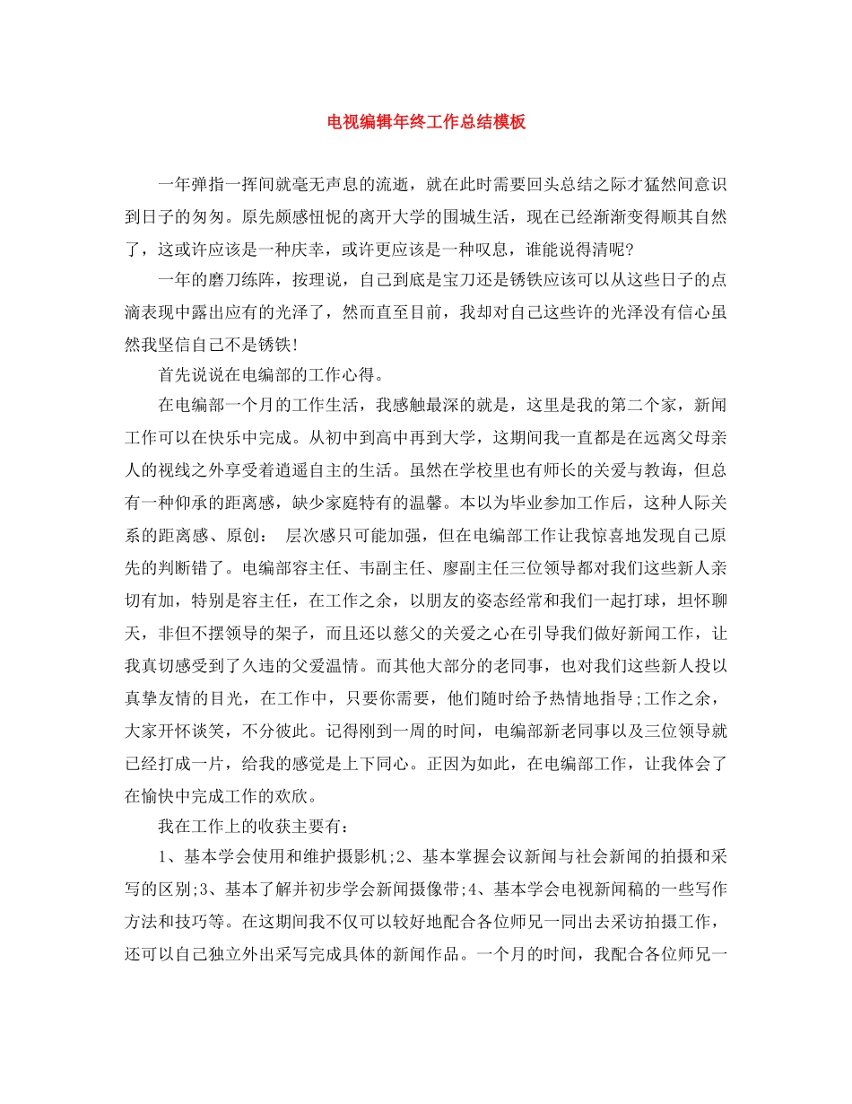 电视编辑年终工作总结模板 _第1页