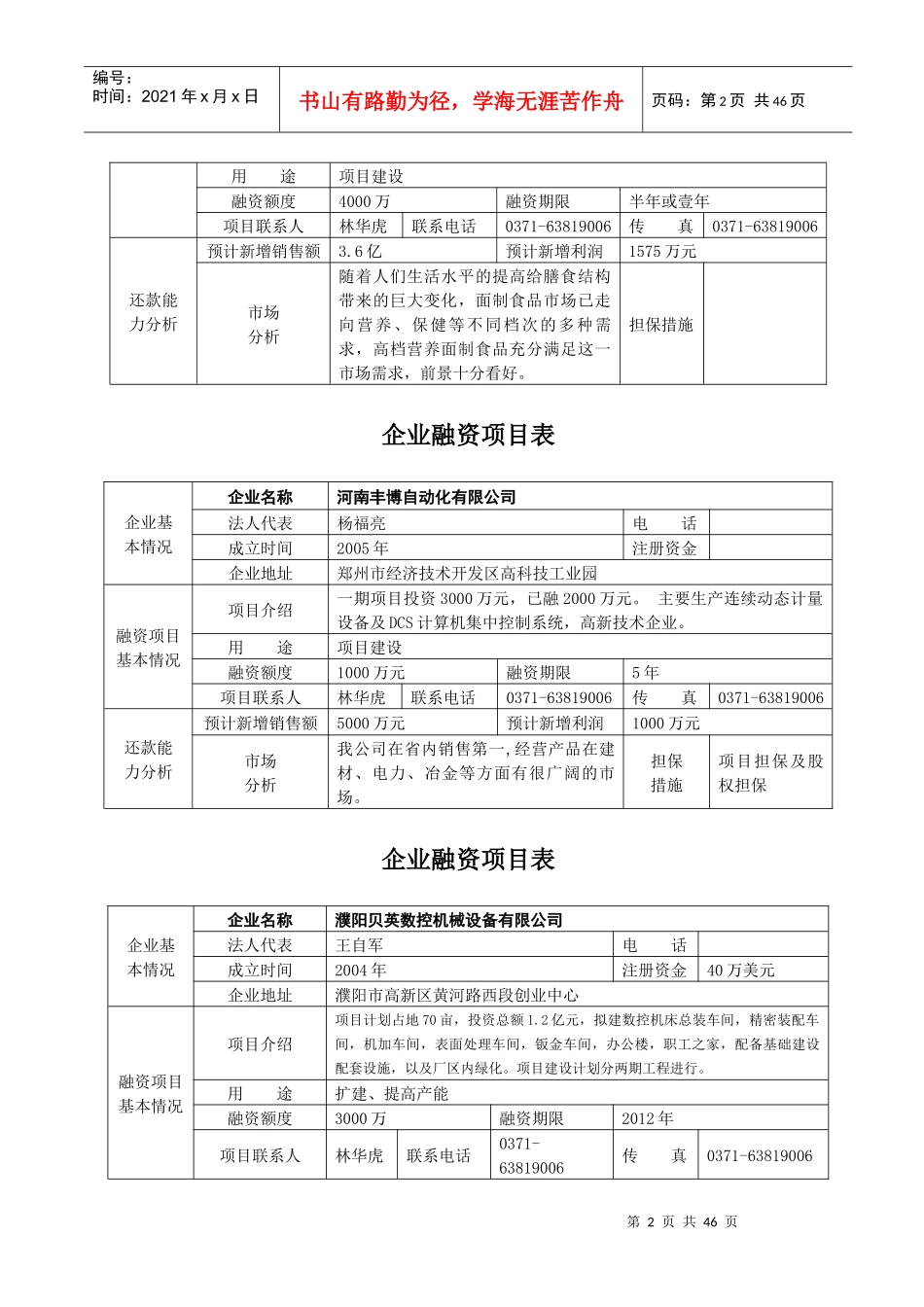 企业融资项目表_第2页