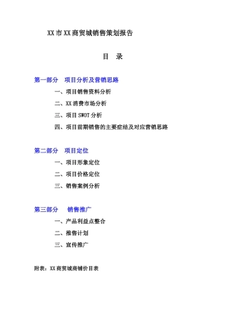 XX市XX商贸城销售策划报告