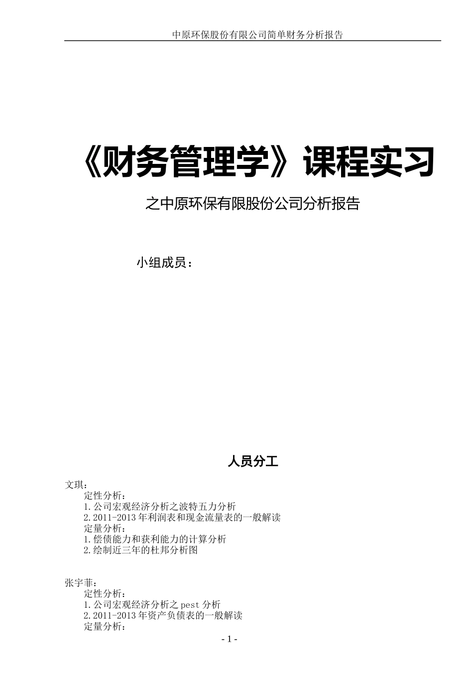 中原环报财务分析报告_第1页
