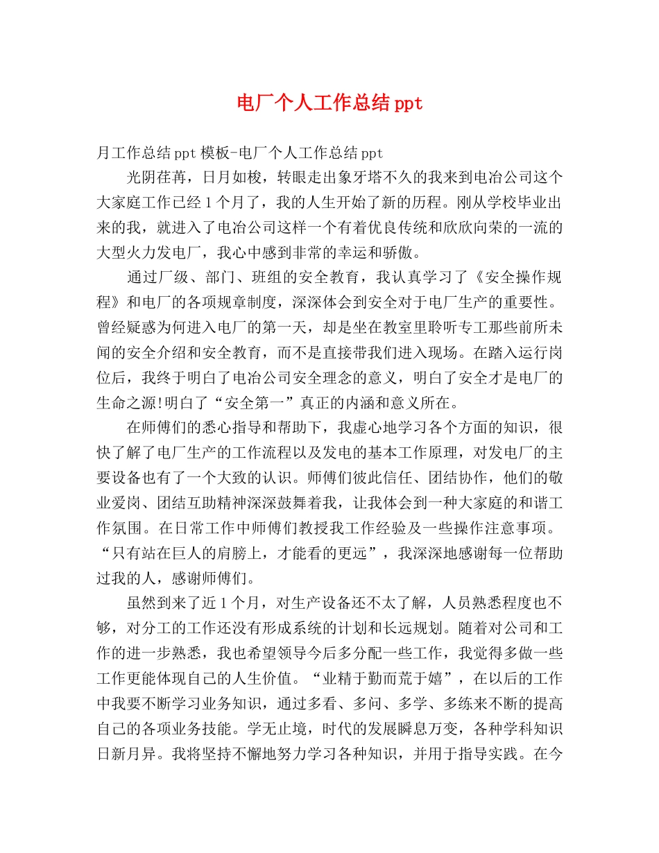 电厂个人工作总结ppt _第1页
