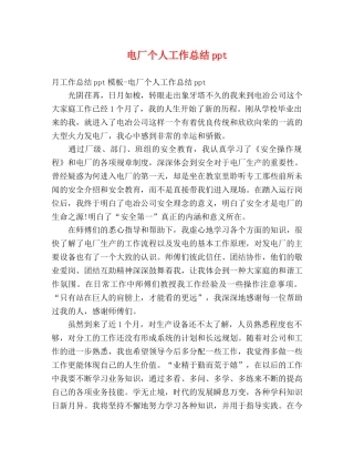 电厂个人工作总结ppt 